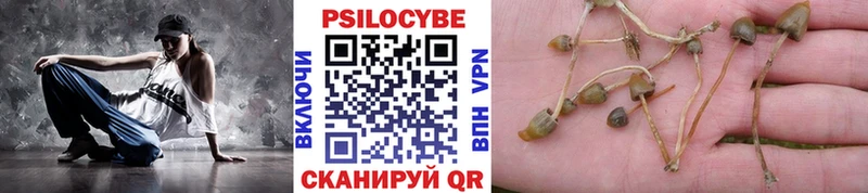 Купить Десногорск Галлюциногенные грибы MAGIC MUSHROOMS